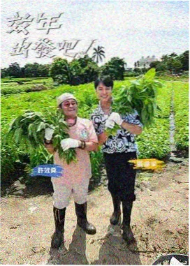 正片与番外词条图鉴配图